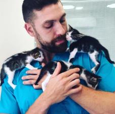 וטרינר עד הבית HomeVet