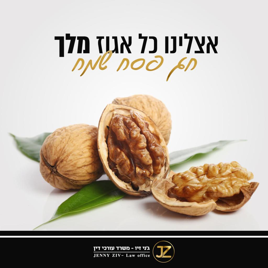 משרד עורכי דין ג'ני זיו משרד עורכי דין ג'ני זיו