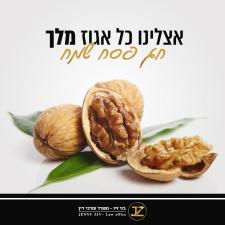 משרד עורכי דין ג'ני זיו
