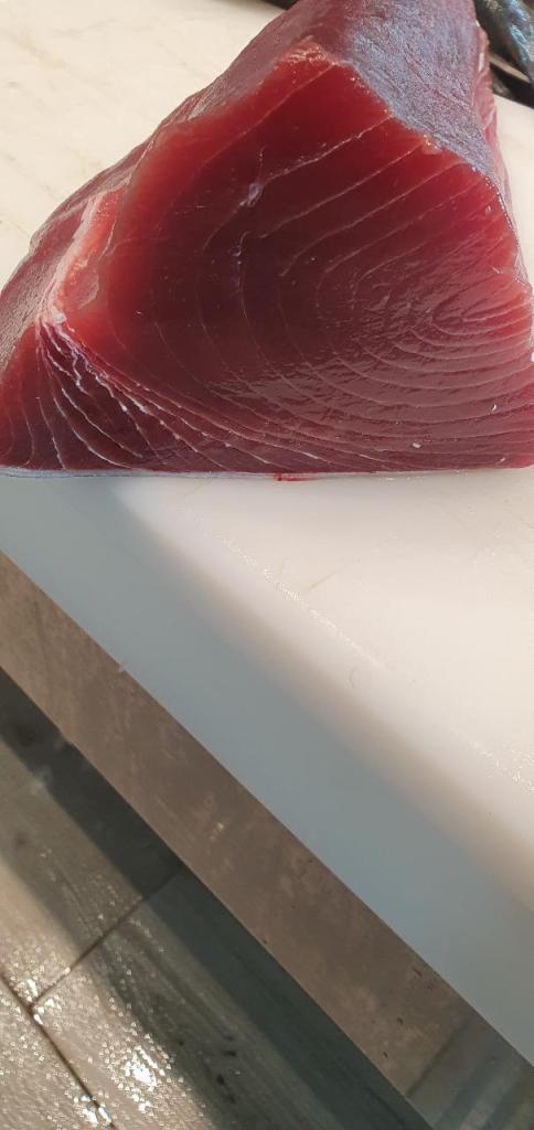 שי דגים שי דגים