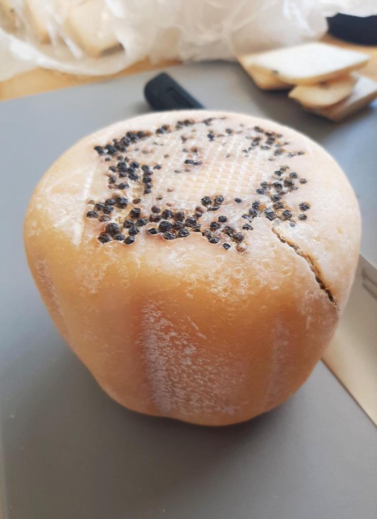 המקרר המקרר