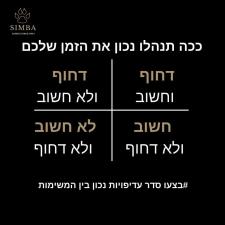 סימבה יעוץ עסקי