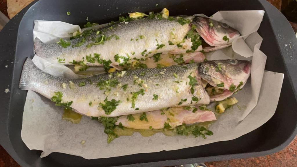 מעדני הים מעדני הים