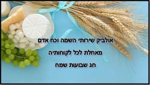 אולביק