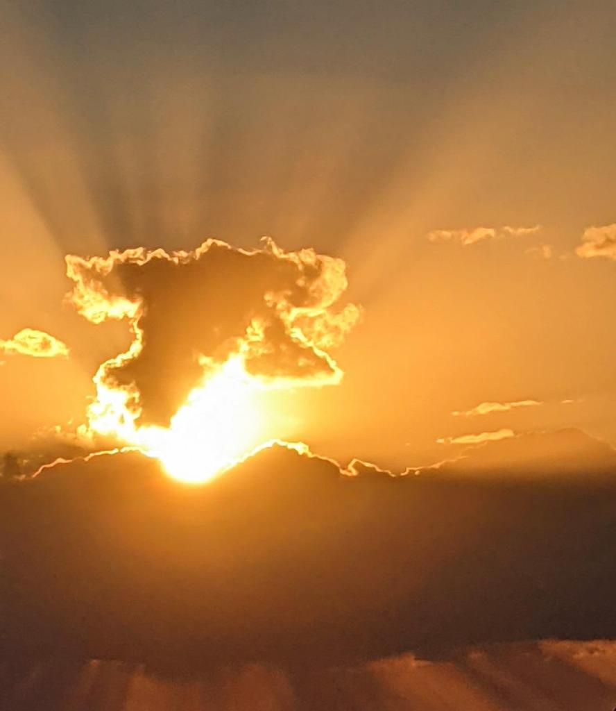 איל שוורץ איל שוורץ