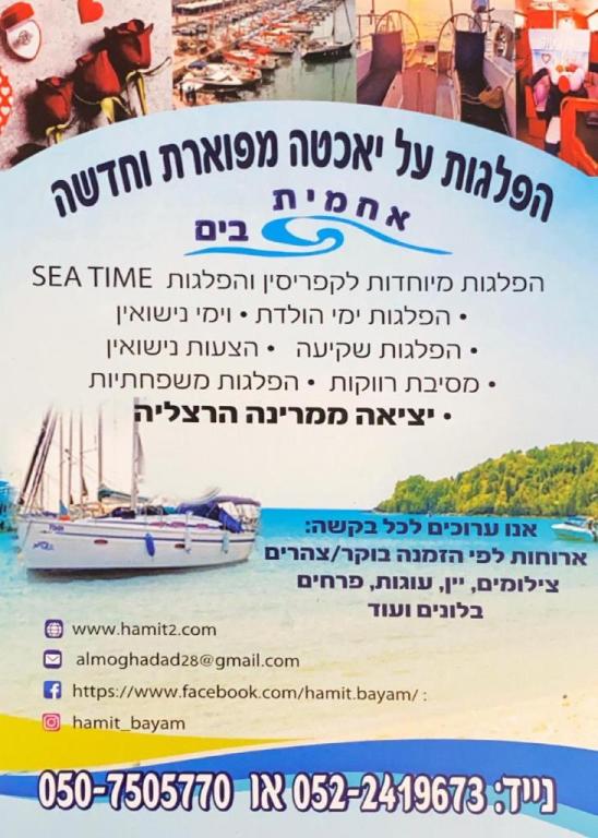 אחמית בים אחמית בים