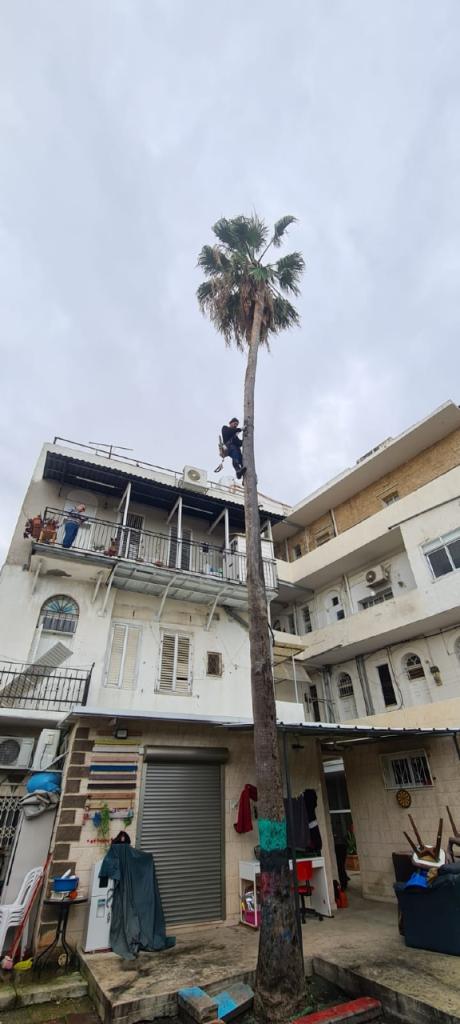 עמל גינון עמל גינון