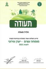 עמל גינון