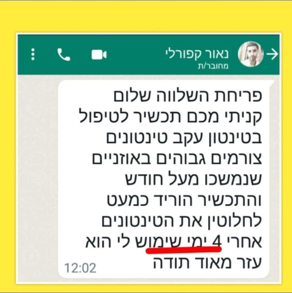 פריחת השלווה פריחת השלווה