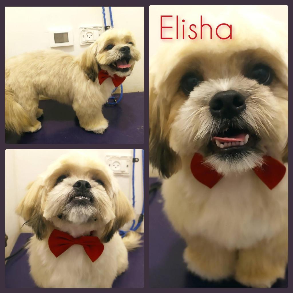 S. Grooming S. Grooming