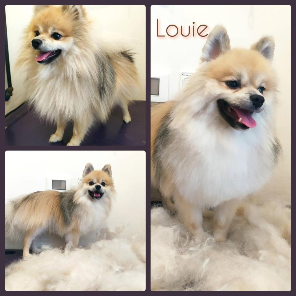 S. Grooming S. Grooming