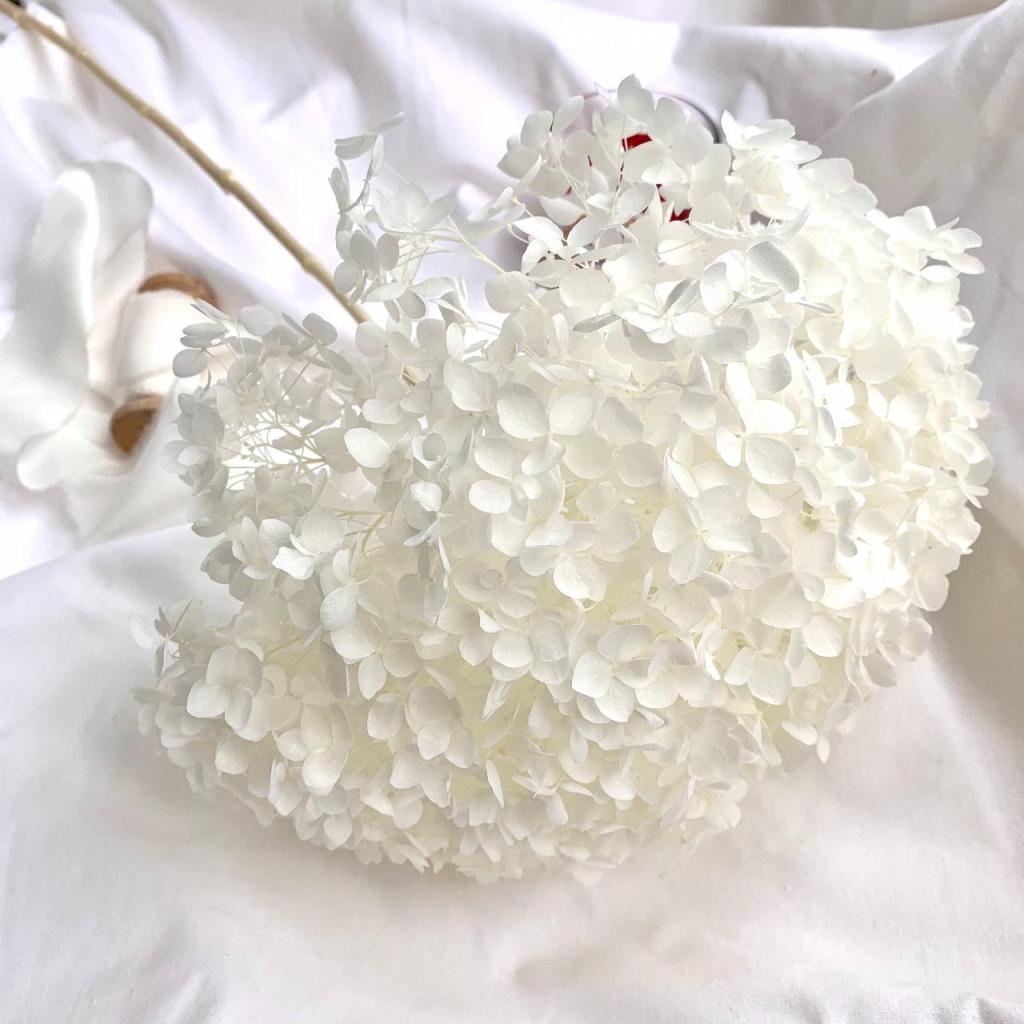 פמפס גלרי פמפס גלרי