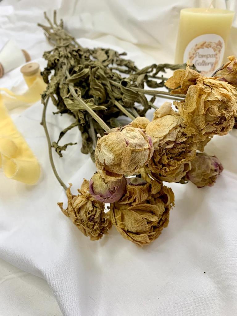 פמפס גלרי פמפס גלרי