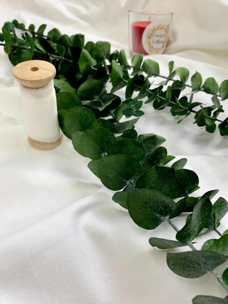 פמפס גלרי פמפס גלרי