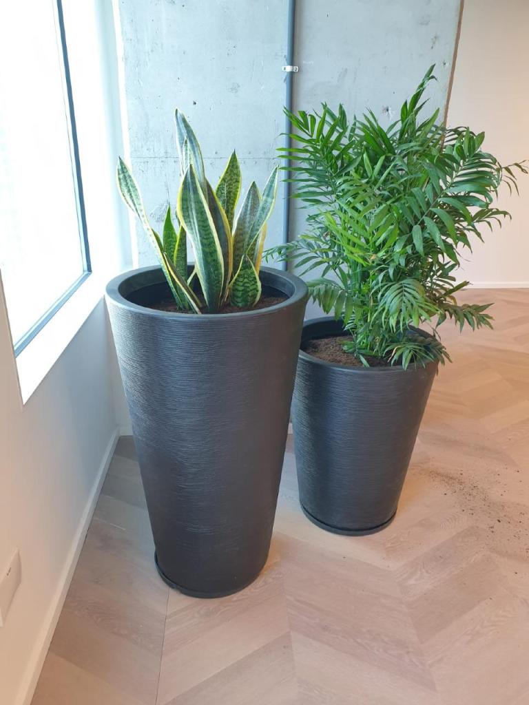 משתלת עץ השדה משתלת עץ השדה