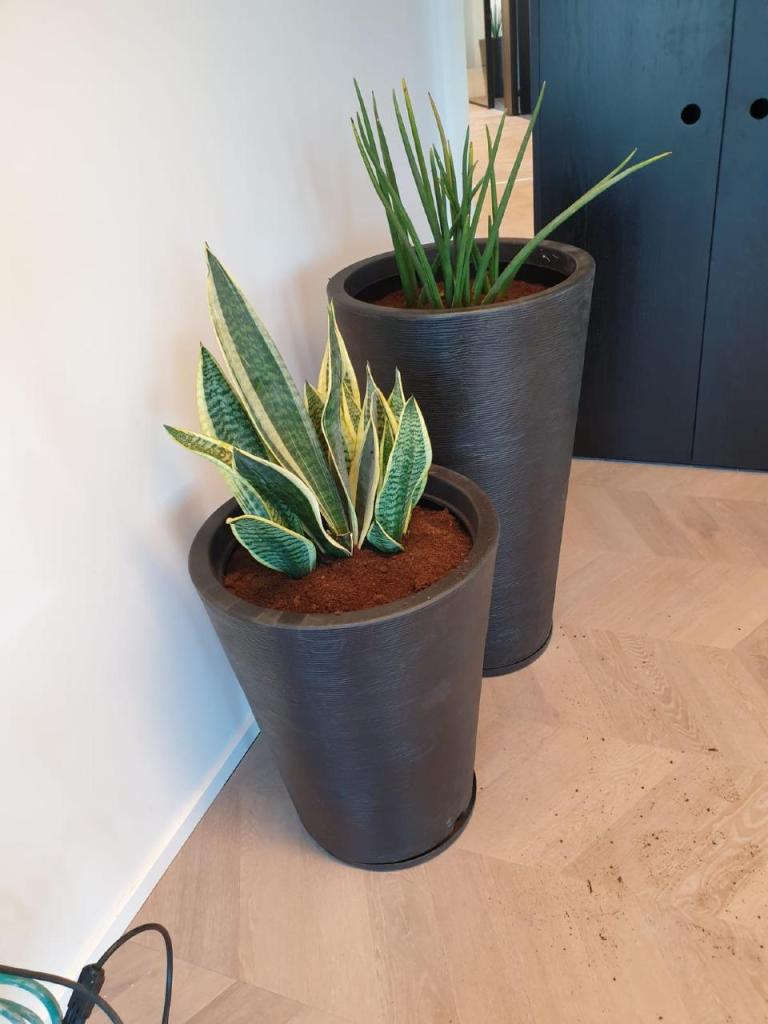 משתלת עץ השדה משתלת עץ השדה