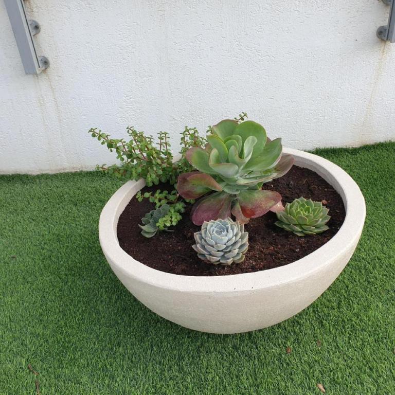 משתלת עץ השדה משתלת עץ השדה