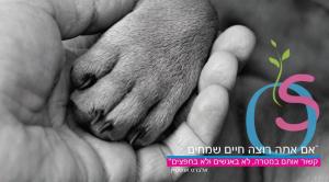 אורנה שליש