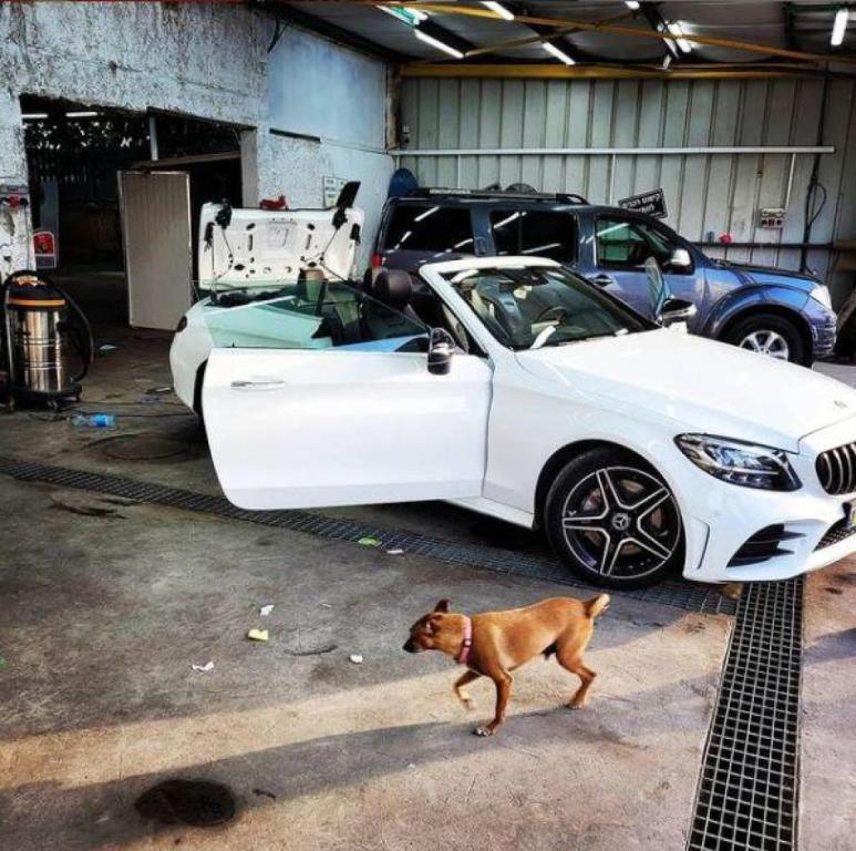 אקו וואש אקו וואש