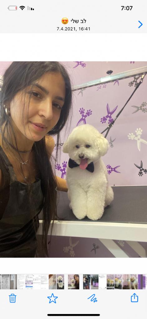 בוטיכלב של שני בוטיכלב של שני