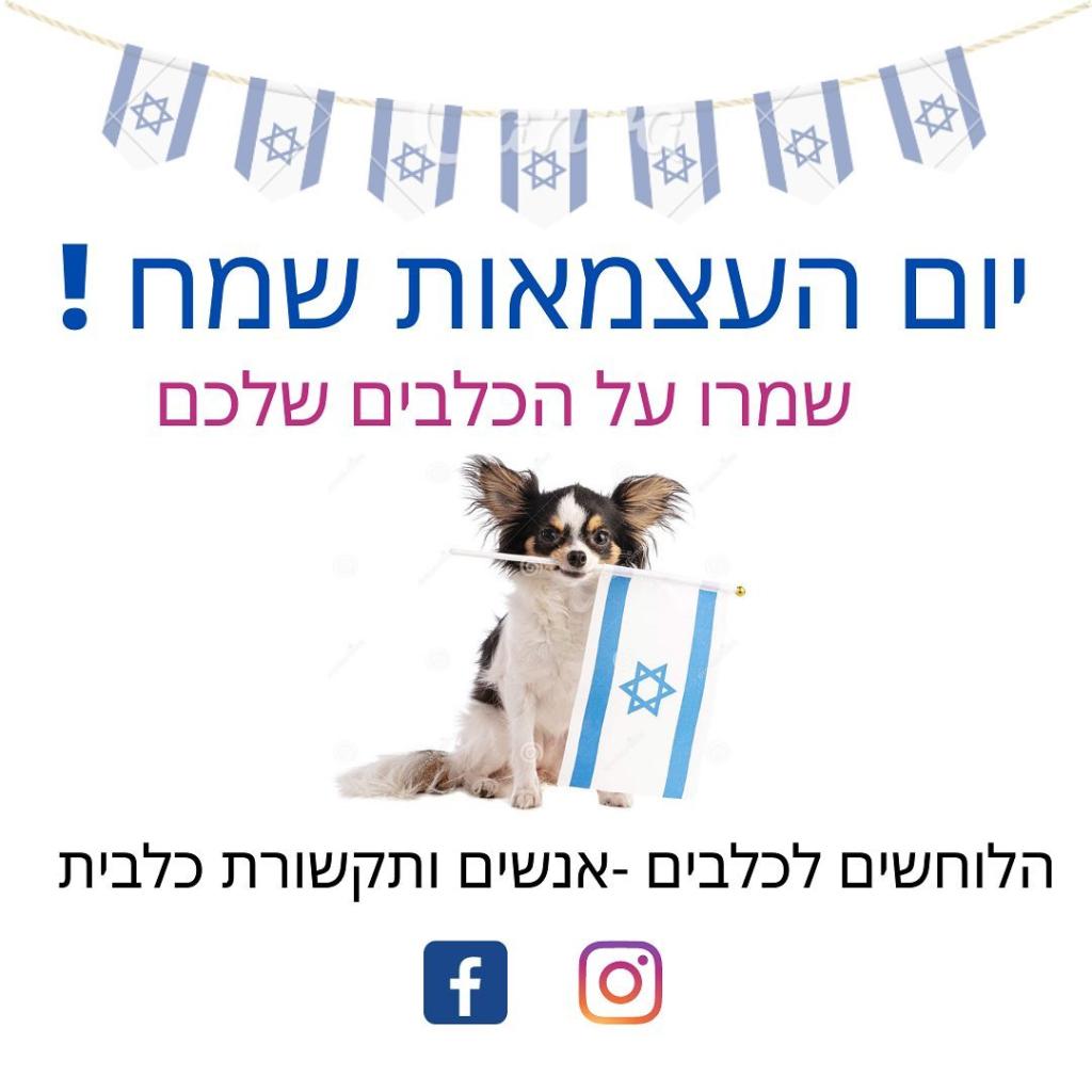 הלוחשים לכלבים הלוחשים לכלבים