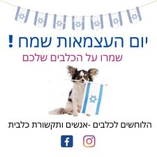 הלוחשים לכלבים