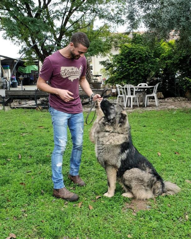 Alpha Canis Major Alpha Canis Major