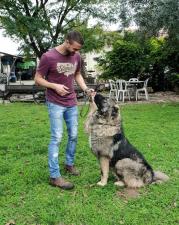Alpha Canis Major