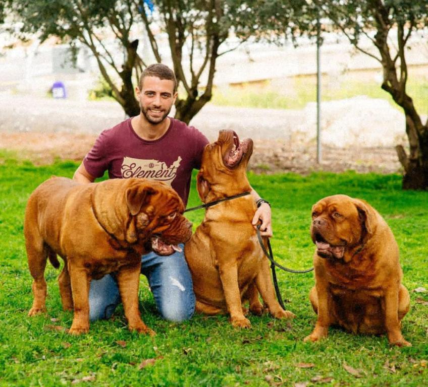 Alpha Canis Major Alpha Canis Major