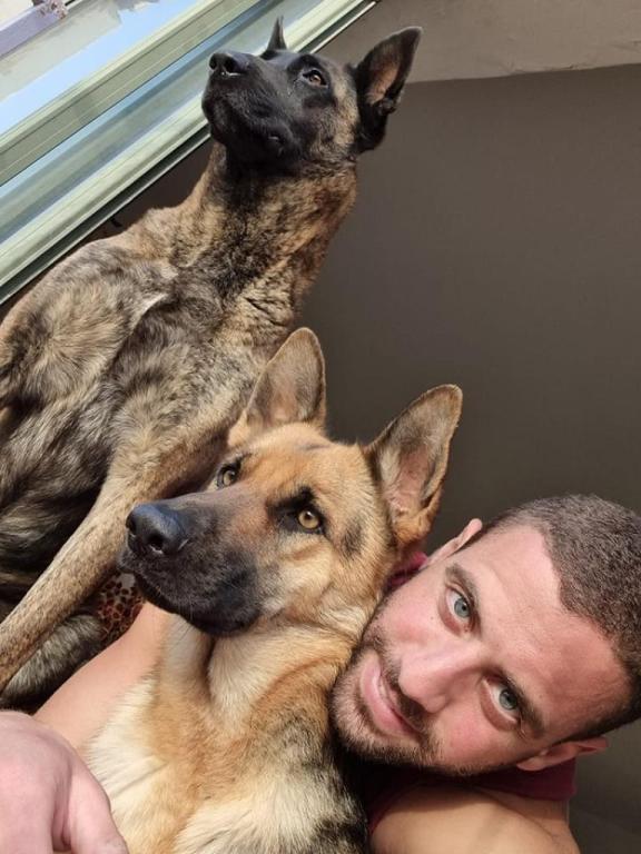 Alpha Canis Major Alpha Canis Major