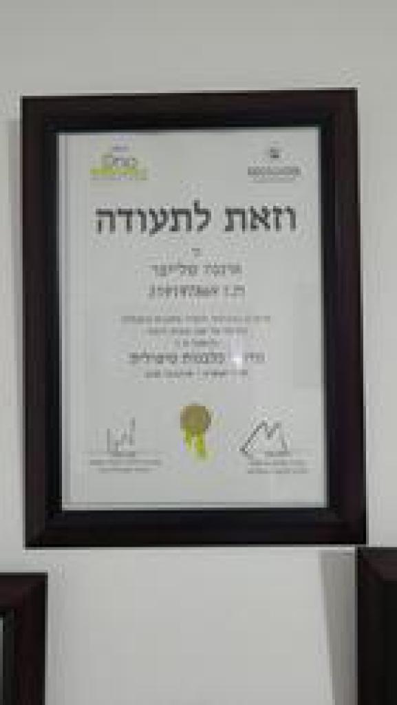 אינגה שלייפר אינגה שלייפר