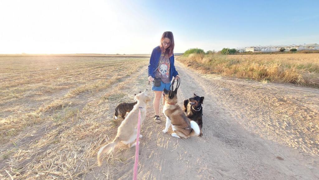 אינגה שלייפר אינגה שלייפר