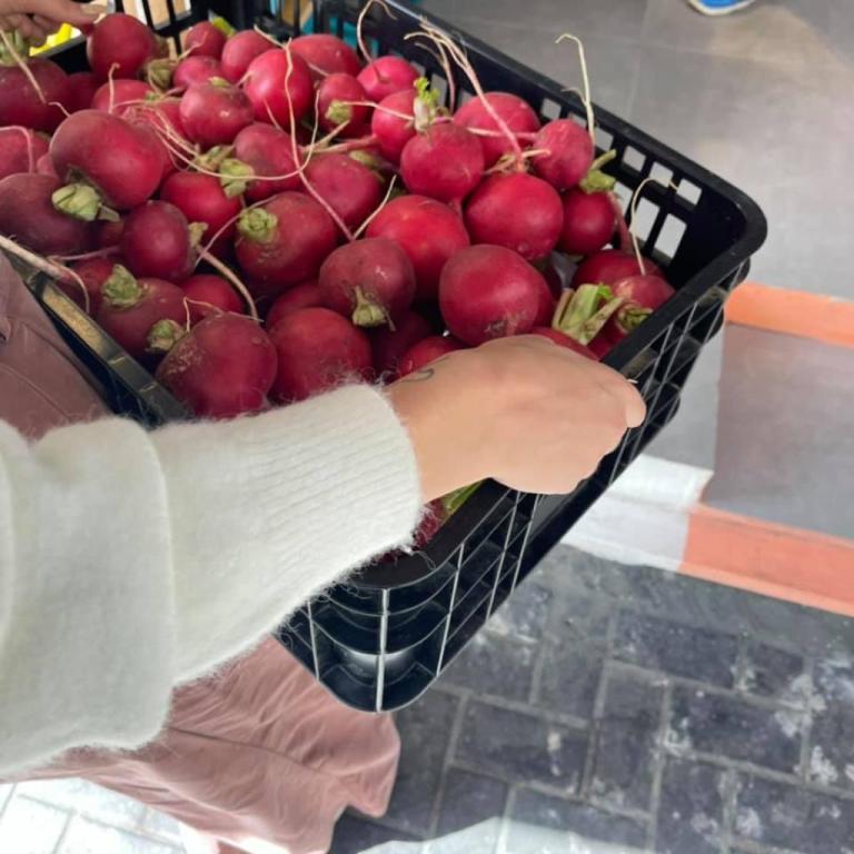 Roots and Fruits Roots and Fruits