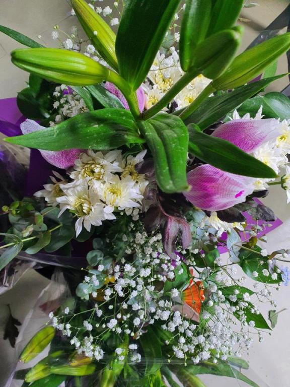 פרח אדיר פרח אדיר