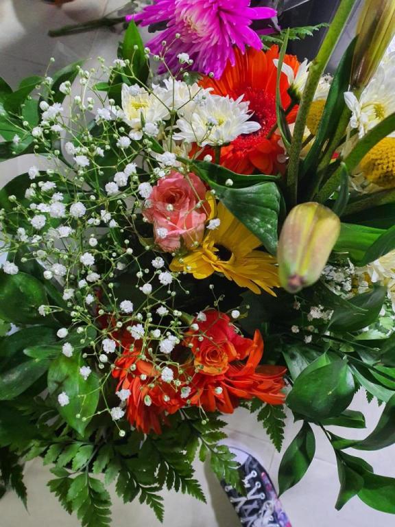 פרח אדיר פרח אדיר