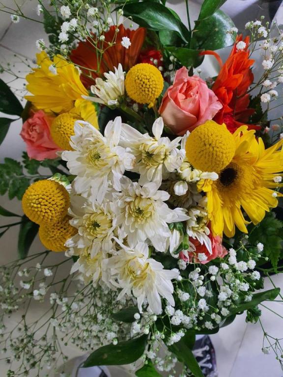 פרח אדיר פרח אדיר