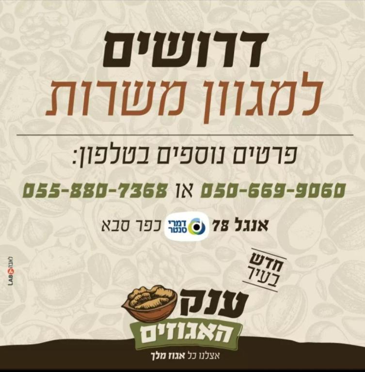 ענק האגוזים ענק האגוזים