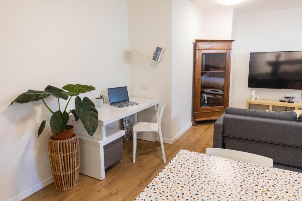 שיבא שיק שיבא שיק