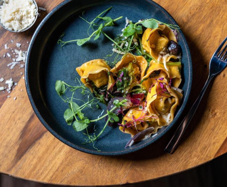 פלומינו Palomino פלומינו Palomino