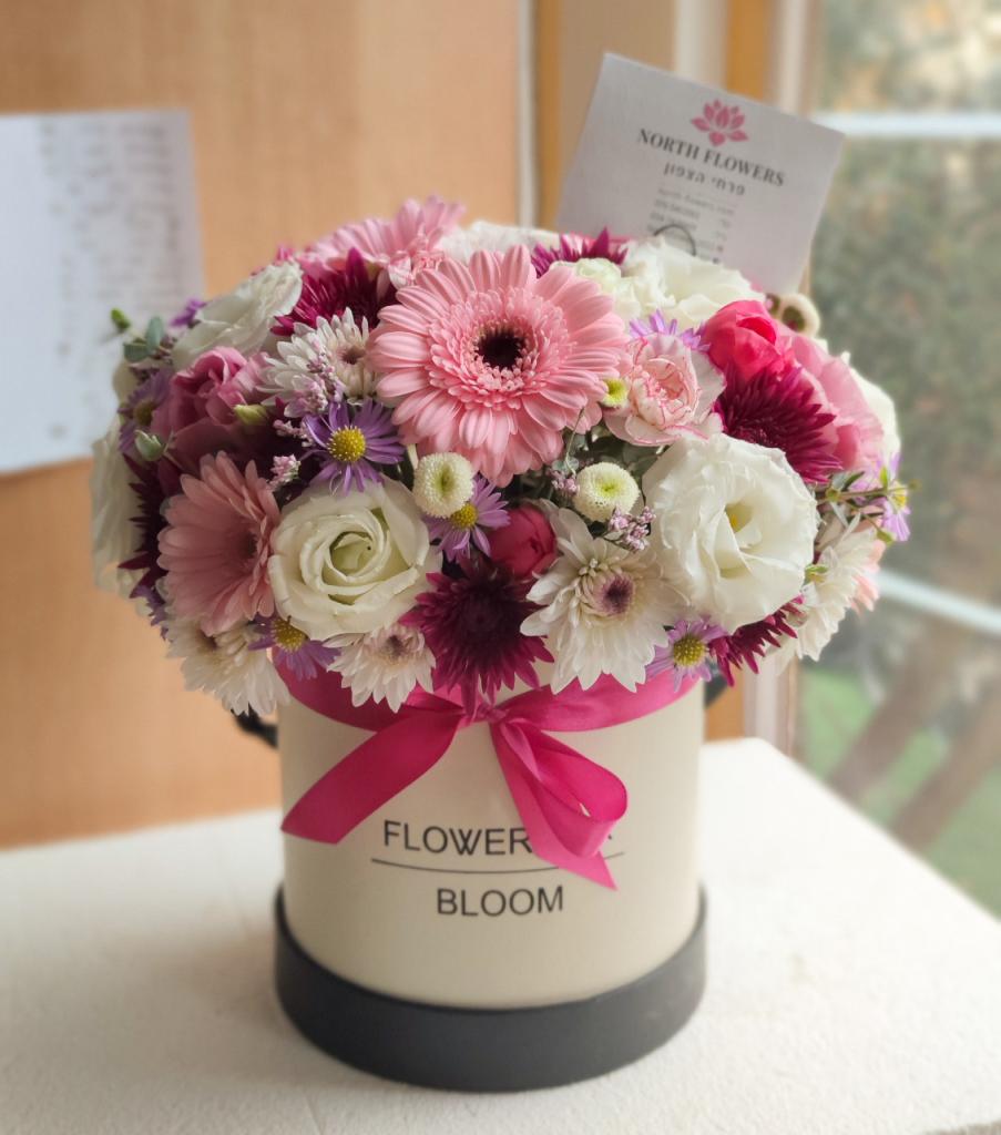 פרחי הצפון פרחי הצפון