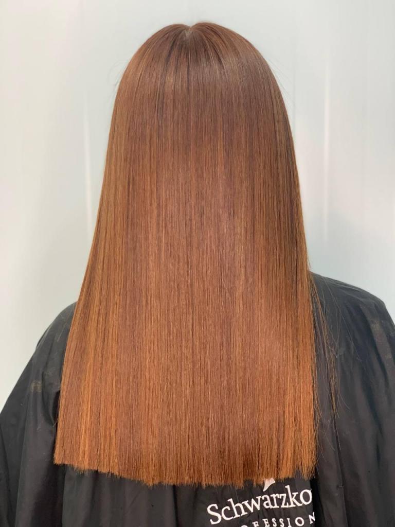 רמונס רמונס