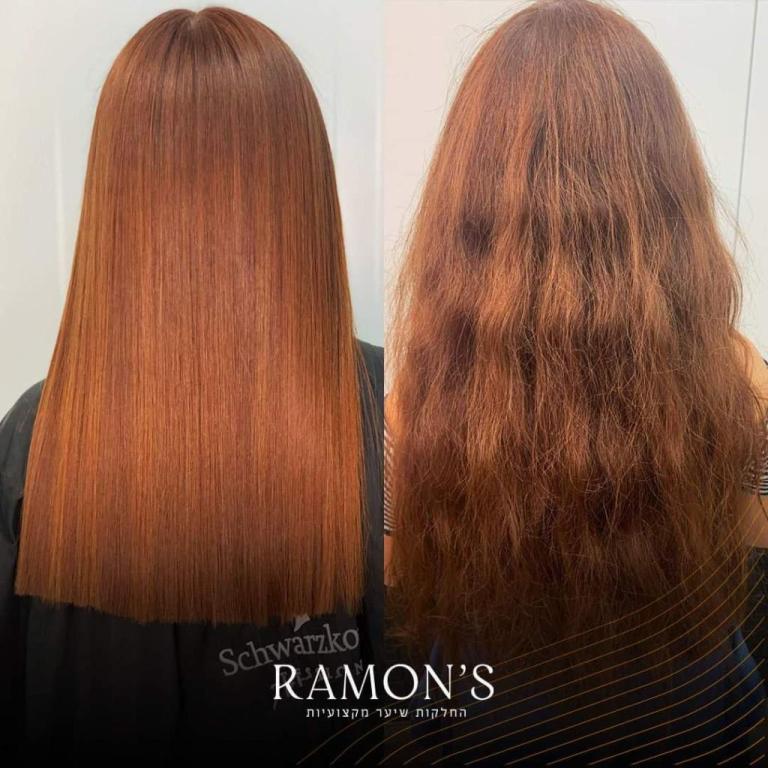 רמונס רמונס