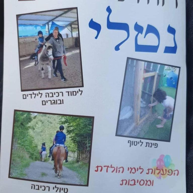 חוות סוסים נטלי חוות סוסים נטלי