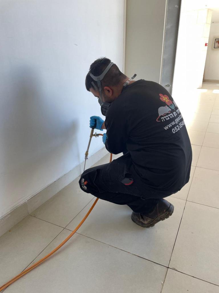 גאיה הדברות גאיה הדברות