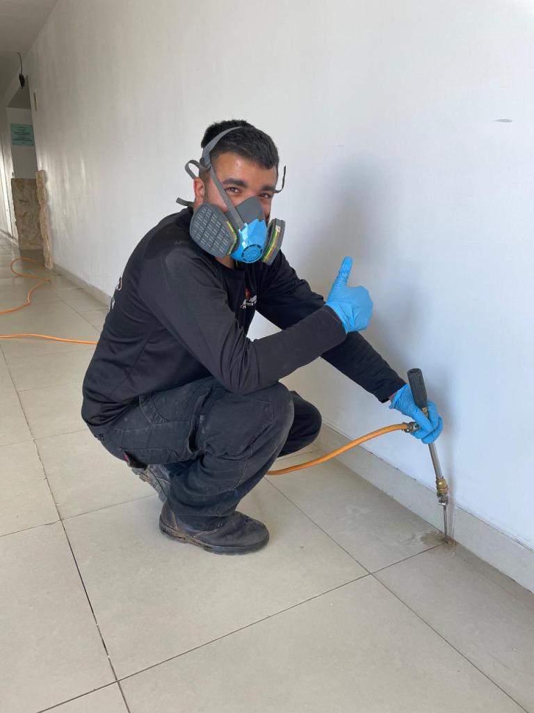 גאיה הדברות גאיה הדברות