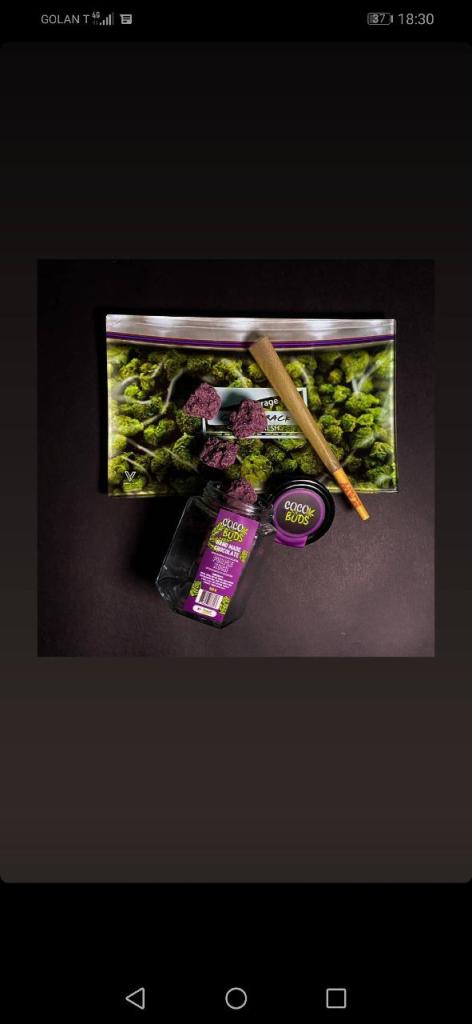 black market black market