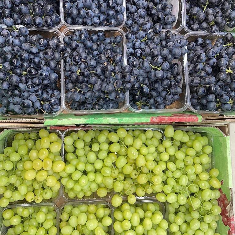 טורג'י פרי וירק טורג'י פרי וירק