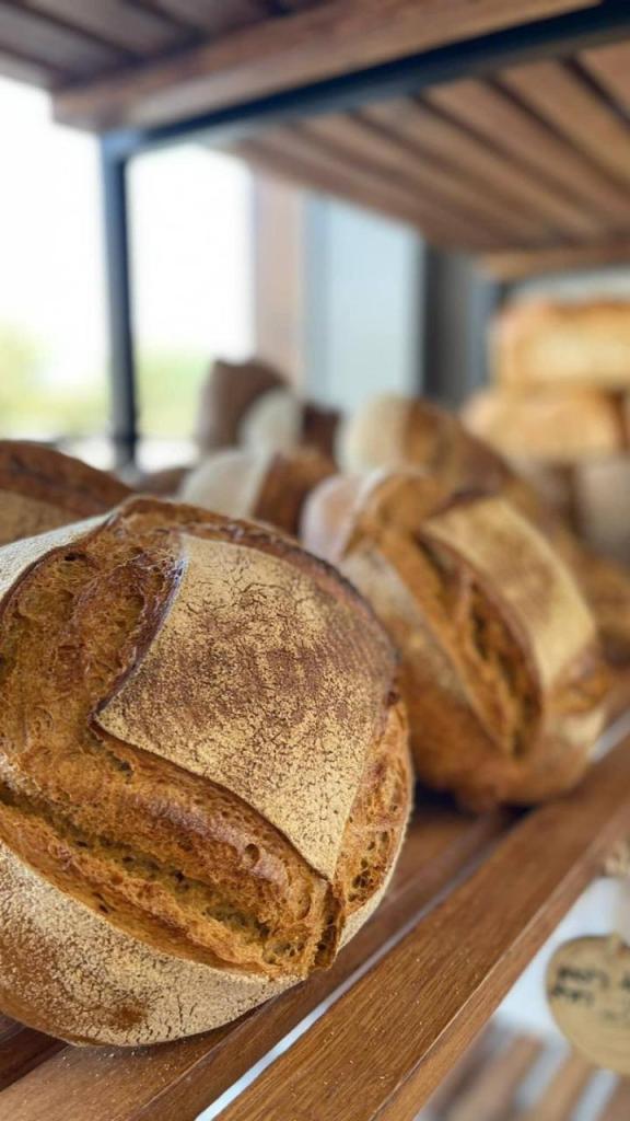 לחם שחר לחם שחר