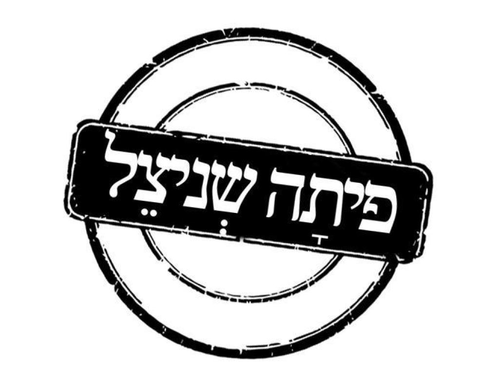 פיתה שניצל פיתה שניצל