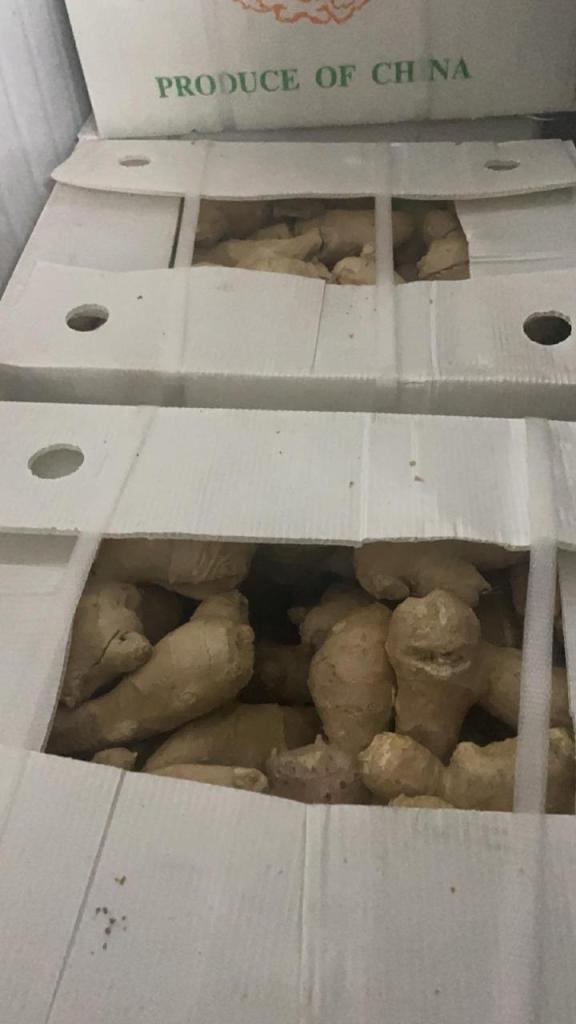 רינת השדה רינת השדה